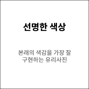 선명한 색상